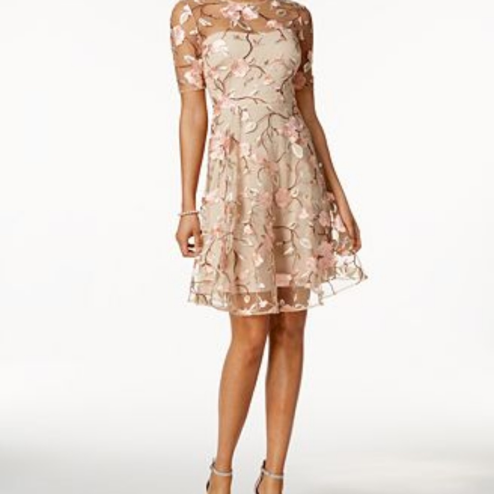 JAX Embroidered Floral Illusion Dress